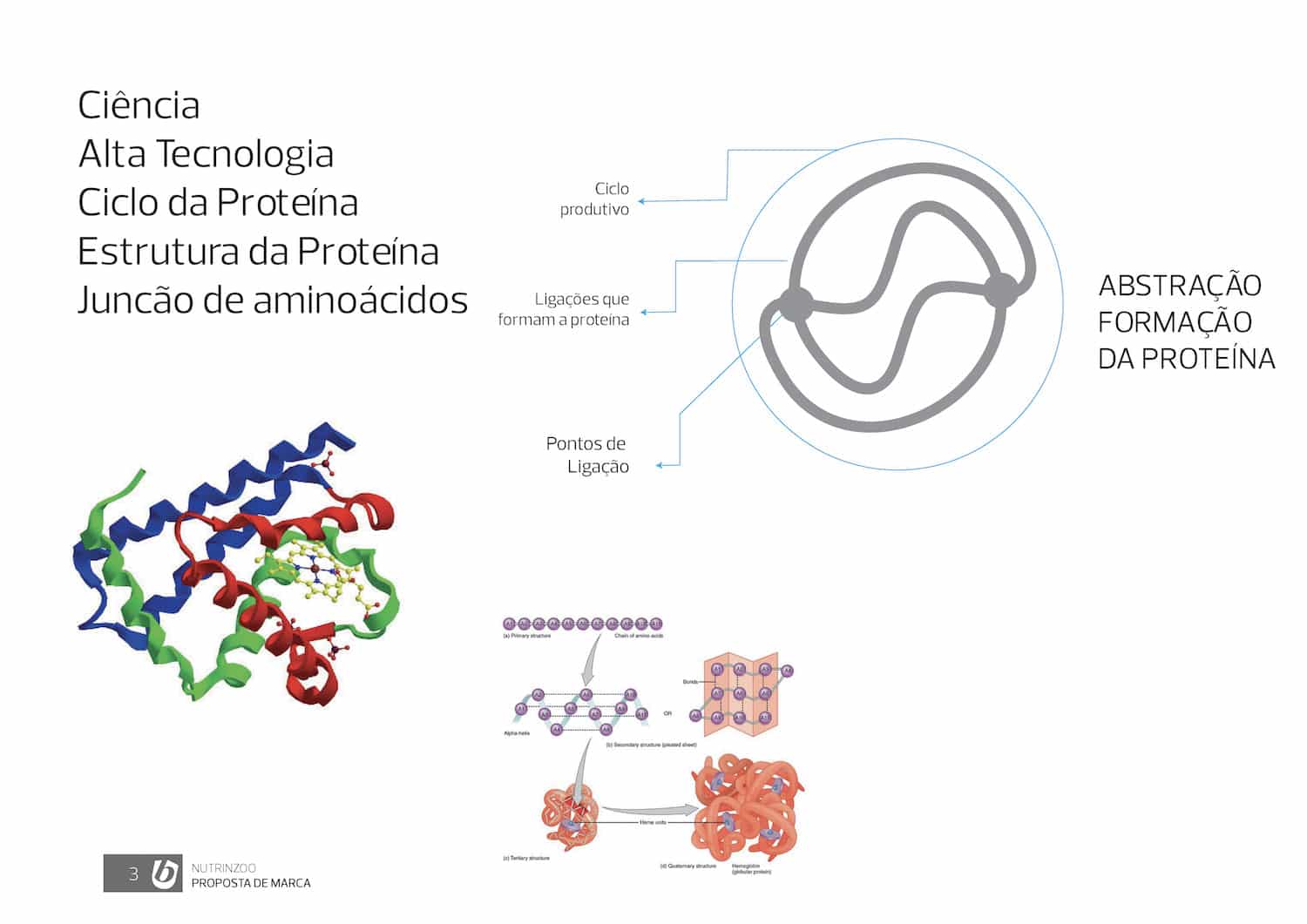 Conceitos para a criação da marca para a empresa Nutrinzoo