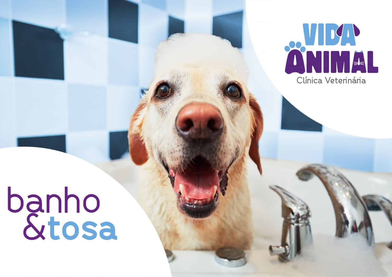 Logo para o banho e tosa